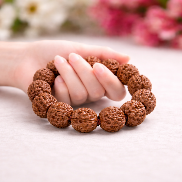 Rudraksha 4 mukhi